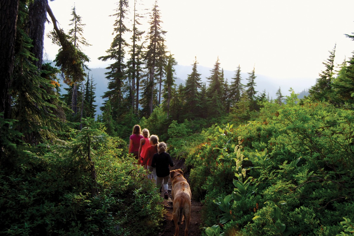 Great Hikes Near Bellingham Plan a trip today—Visit Bellingham